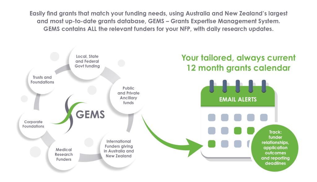 Infographic of the types of grants available to nonprofits with Strategic Grants GEMS grants portal